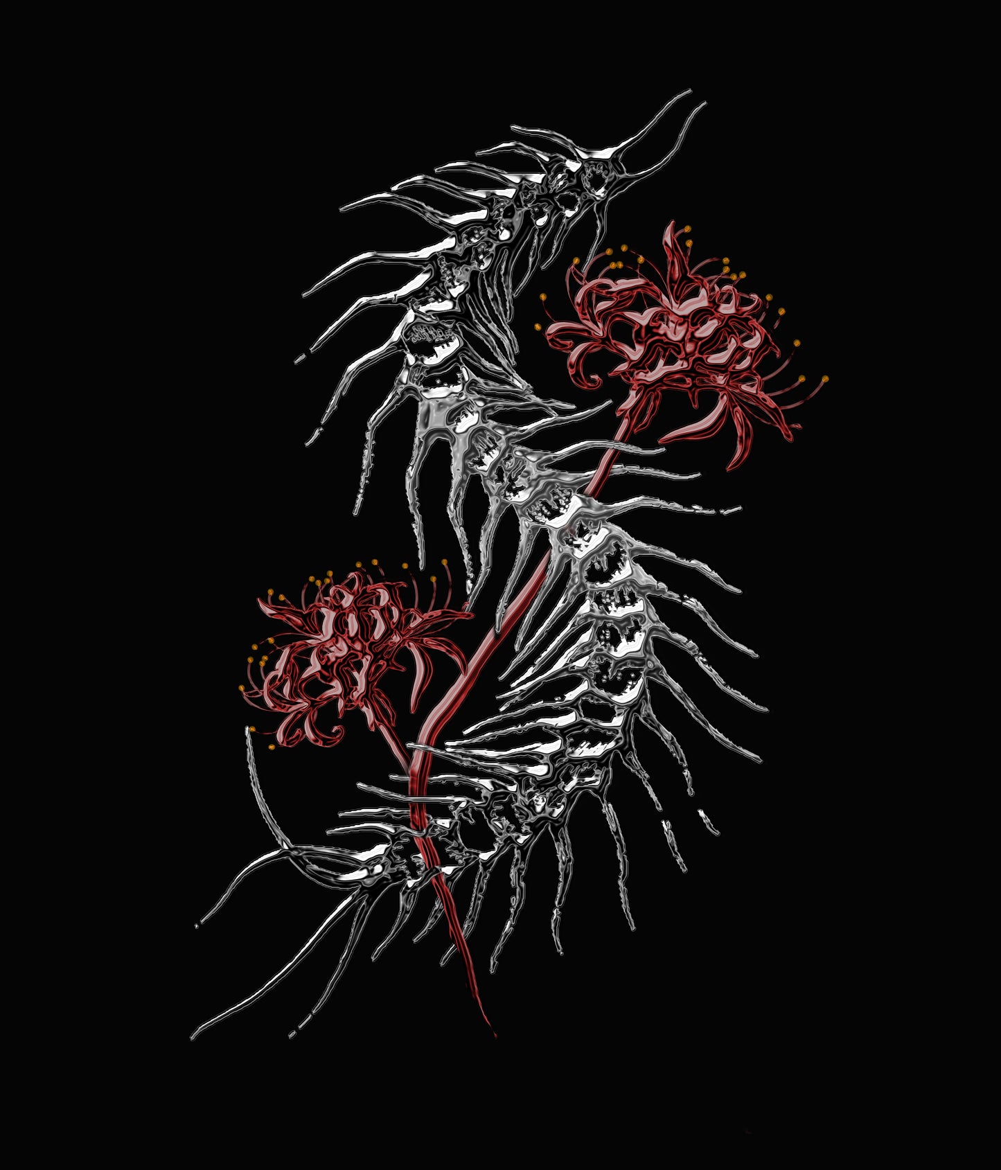 Kuromu centipede